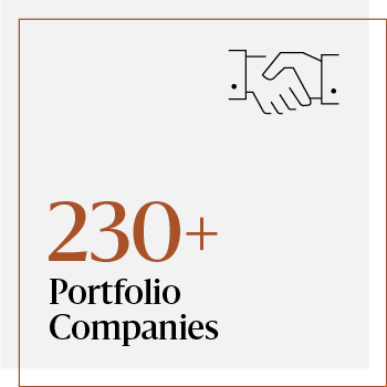 Infographic that reads "230+ portfolio companies"